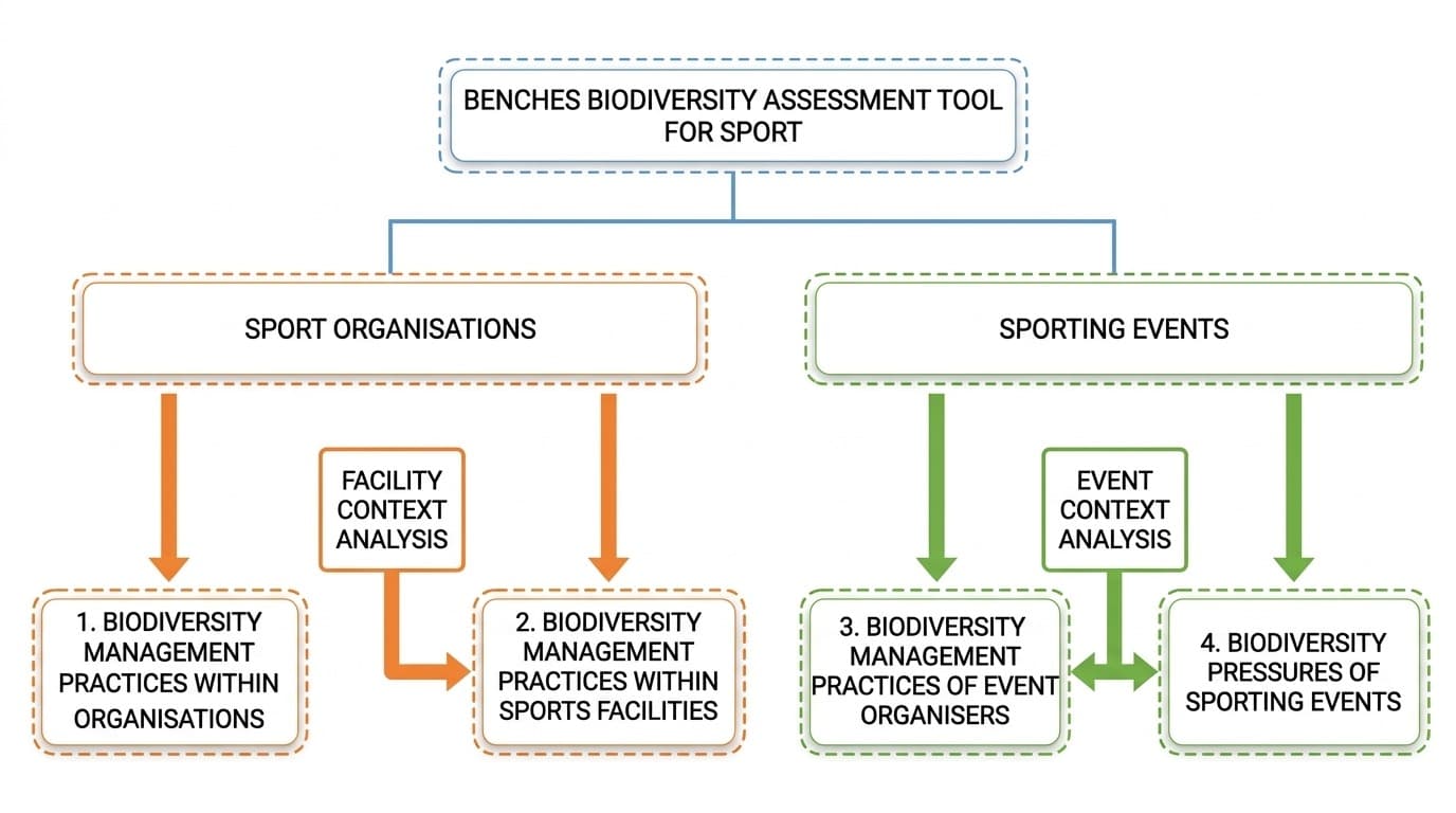 BENCHES Assessment Flowchart