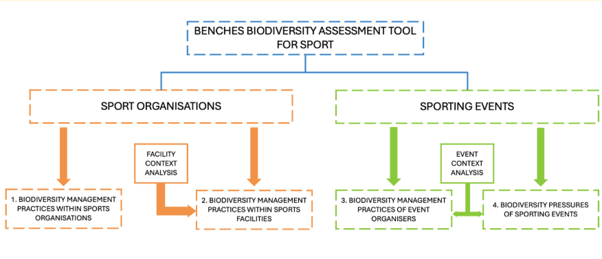 BENCHES Assessment Flowchart